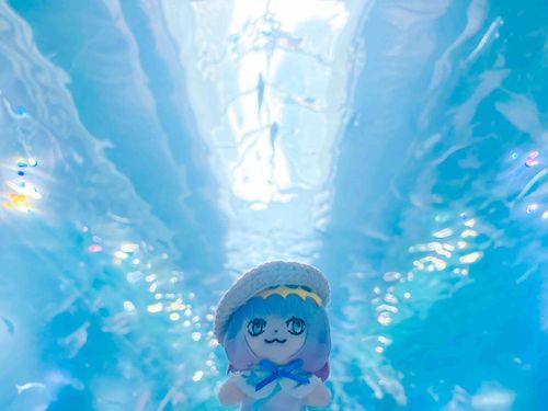 すいぞくかんブームがきちゃったみたい