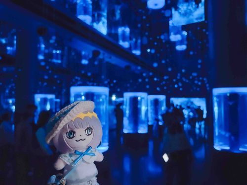 とても"げんそうてき"だね。ここもすいぞくかんなの？