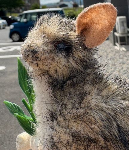 ハロちゃんよ
旅と美味しいものが好きよ