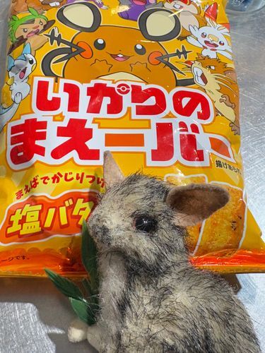 アタシもパッケージに参加できると思うの