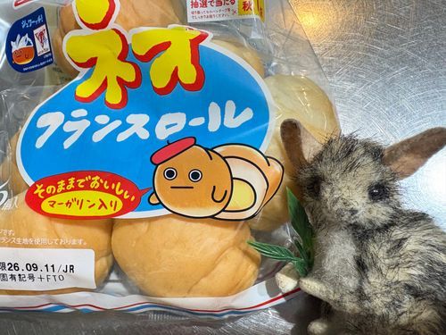 新商品なのかしら？