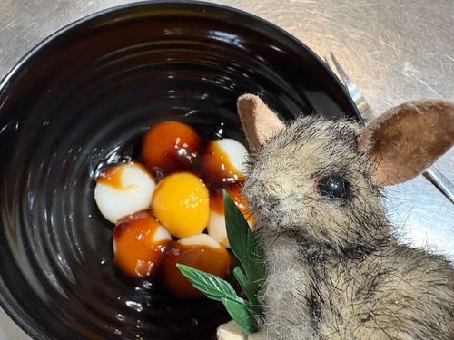 お月見よ