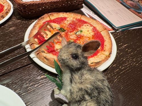 今日の晩ご飯よ