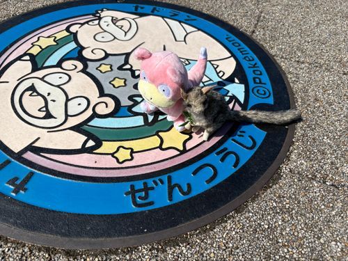 ピンクの子と一緒にポケふた廻りに行ってきたわ
他にも撮りに来てる人がいたわ