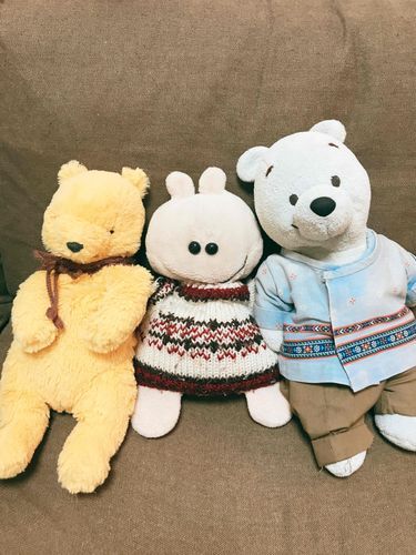 僕の友達を紹介。
クマ君たちと仲良く暮らしてるよ。