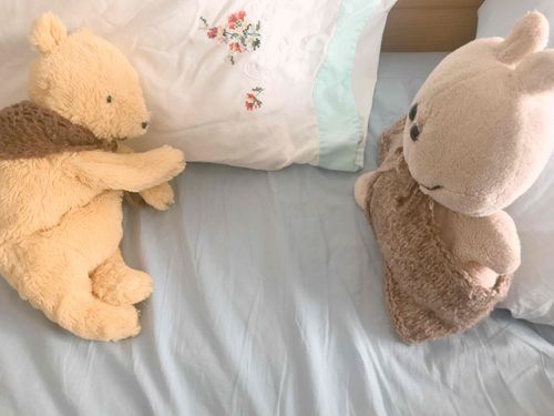 プーおはよう。あ…まだ寝てるのか…