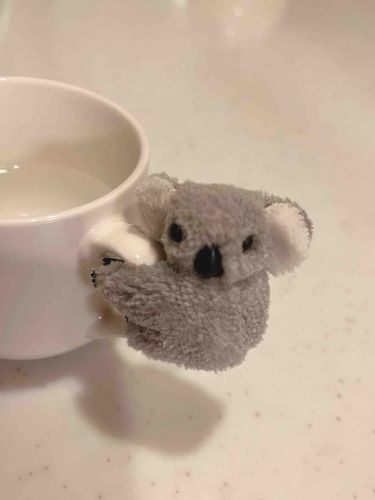 さゆこあら