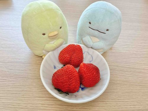 苺が美味しい季節だね🍓