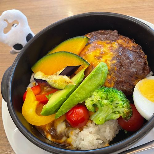この者は夏野菜たっぷりのハンバーグカレーを食べたようね。