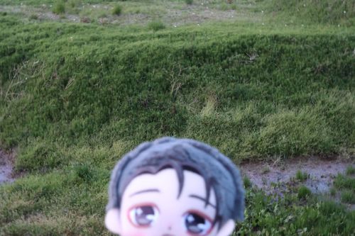 憂太ぬいゲト