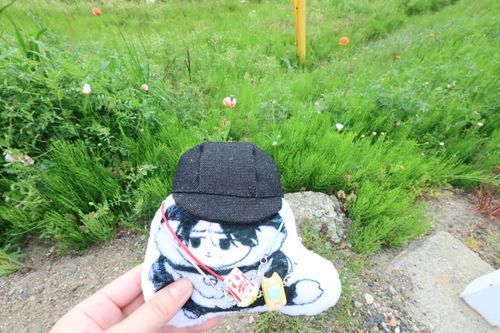 かわいいお花