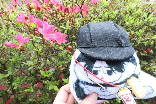 綺麗だね
