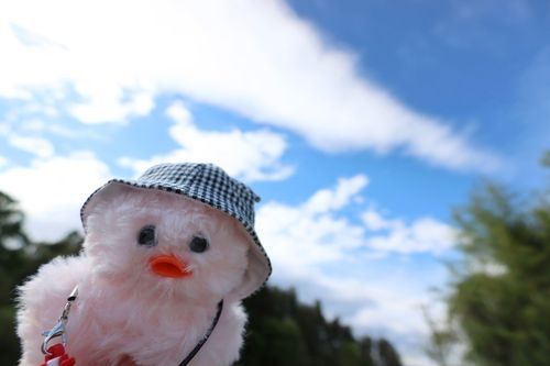 散歩もじょ