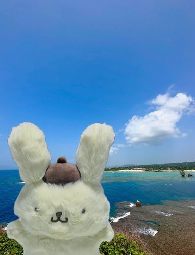 今日届いたポムプリぬいを、何年か前に行った沖縄の綺麗な海と合成