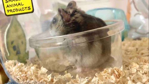 あ！！目があったァ！！！