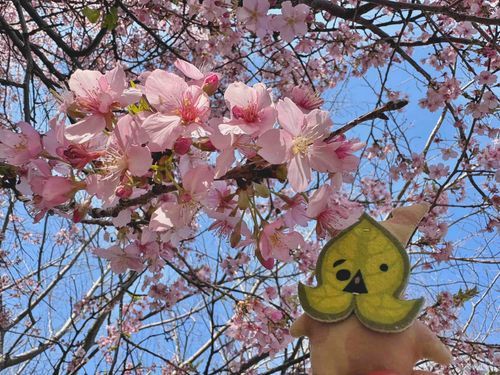 いいかおりだナァ