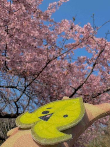 いい天気で、お花もさいててェ