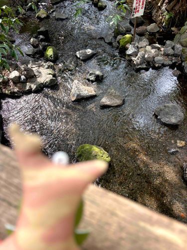 せせらぎがここちよくてェ