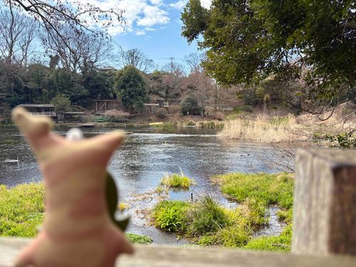 ちっちゃな流れがおっきい川につながってェ