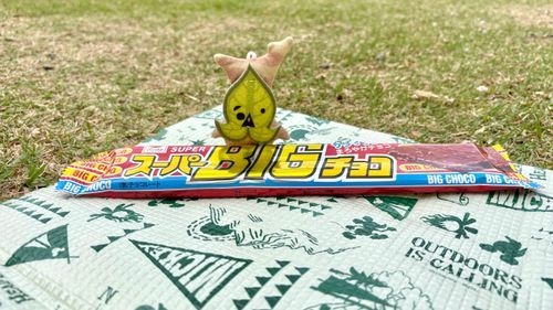 ボクのおやつだァ！！