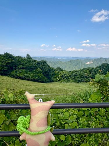 ゆうだいな自然がひろがっててェ