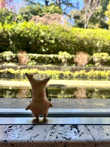 きれいだなァ