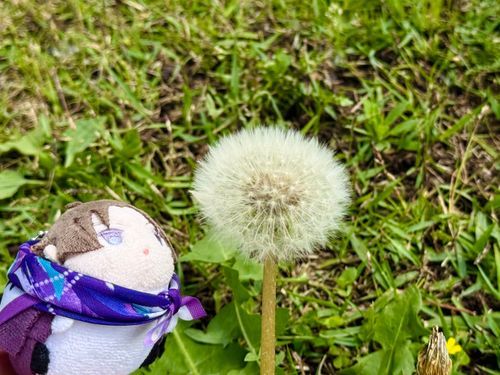 ふぅ〜