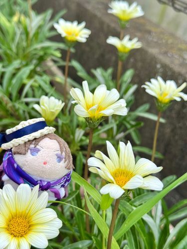 おはな〜