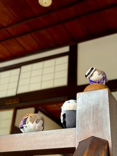 もちもちたんけん