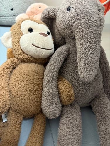 仲良しさんなのでいつもおてて繋いでねてます🥺
