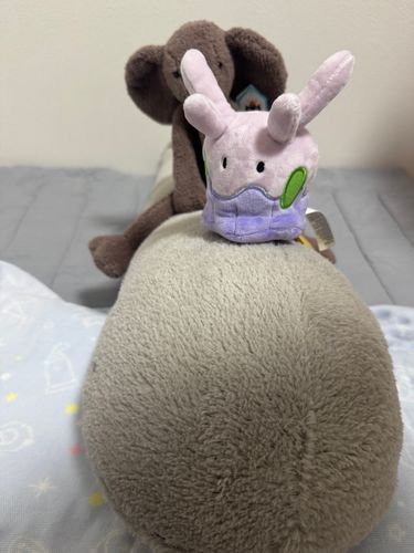 ぬめら隊長とぱお