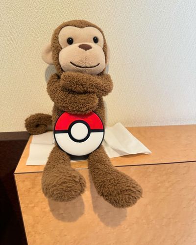 ポケモンをゲットしたらしい