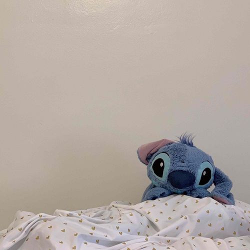 はじめまして。むにっちといいます。
いつもベッドの上でごしゅじんの帰りをまっています🌙