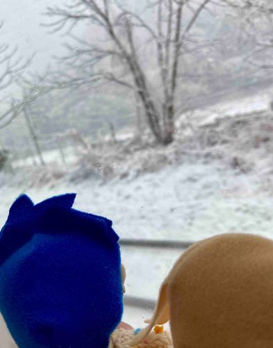 おでかけする虚無たち　トンネルを抜けたらそこは雪国…（関東）