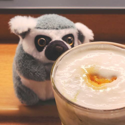 はじめてでどきどき！