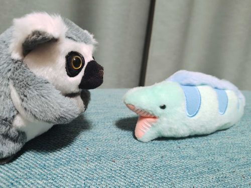 ぼくの家族、ウツボお兄ちゃん！ おうちのこと、教えてもらうんだ〜