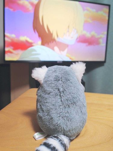 アニメって、いろんな気持ちになれて、ふしぎですてき