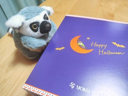 はろうぃんのおかしだって！ わくわくしちゃうね🦇
