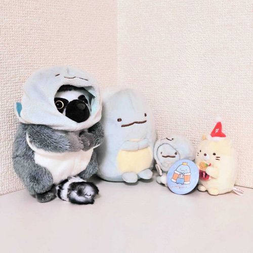 なんだか、おちつくね⋯