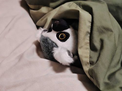 はっ⋯⋯ もうこんな時間⋯⋯