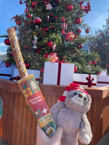 クリスマスマーケットに行ってきたよ🎄
クリスマスマーケットで買ったナマケモノちゃんのぬいぐるみ🦥❤︎