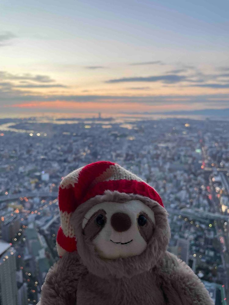 夜景も夕日もどっちも綺麗だね🌉🌆