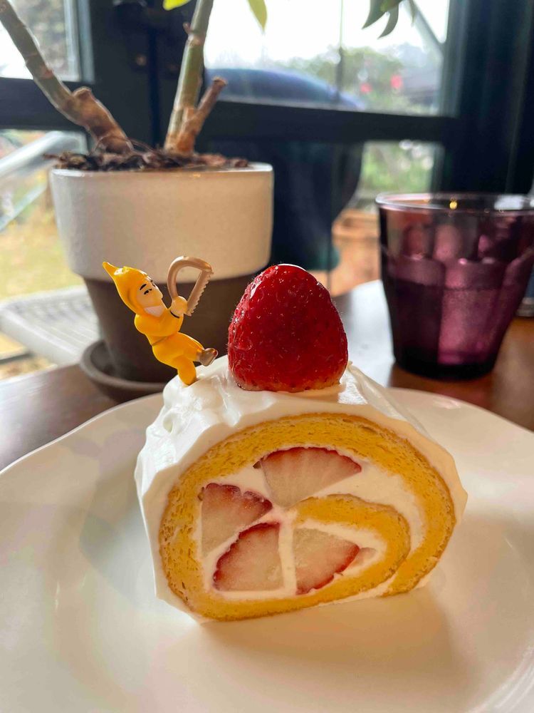 ケーキのピックの癖が強いね🤣