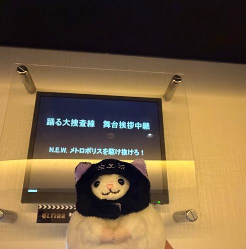 踊る大捜査線を観に行ってきたよ🍿
小さい頃から見てて大好きなんだ🎥
青島かっこいい😎