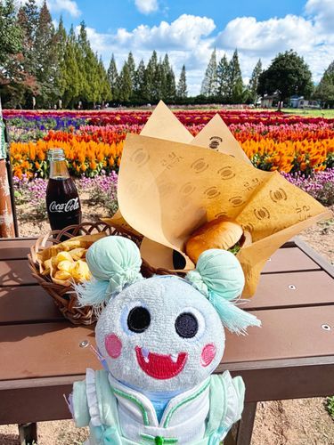 お花を見て来たんだ〜🌸
びっくりするぐらい鮮やかだったよ🌈