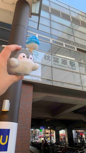 あっあっ秋秋秋葉原〜