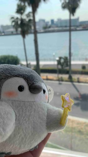 🌊海は広いよ大きいよ〜🌊
海なし県に住んでいるので、海を目の前にしてテンションが上がるコウペンちゃんと私であった