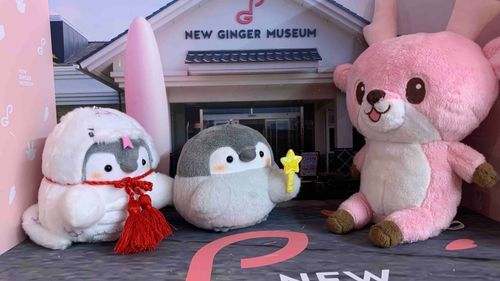 🫚新生姜ミュージアム🫚
新生姜ミュージアムには、ぬい撮りスポットもありました！
この写真はそのぬい撮りスポットでの一枚。