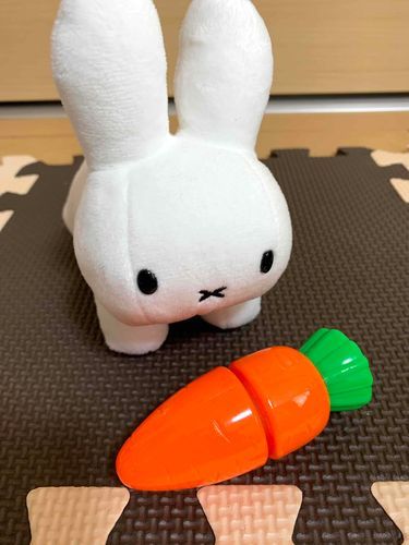 わぁ〜い♪おやつだぁ〜♪
にんじん食べよう〜🐰🥕