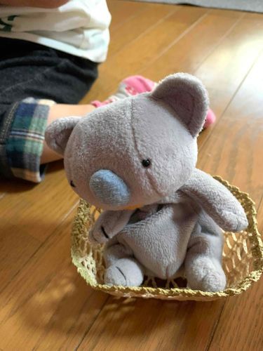 僕はコアラのコアくん♪
持ち主のいちまるが僕を可愛いカゴに入れてくれたよ✌️
落ち着くなぁ〜🐨💕